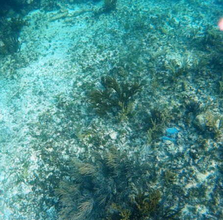 Cenote Yax Kin Camping